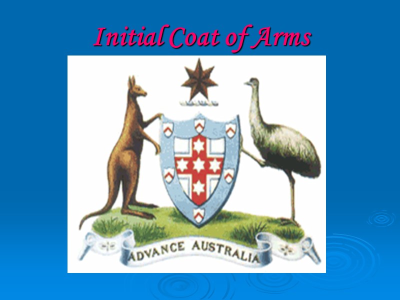 Initial Coat of Arms